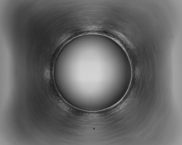 X0000115491209200911131229