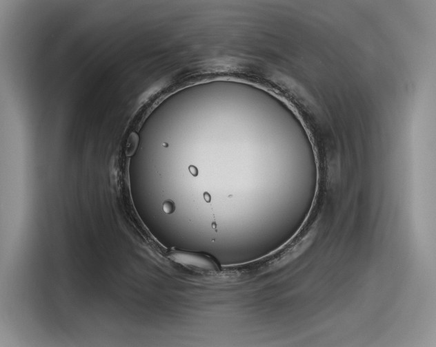 X0000115491210200911131229