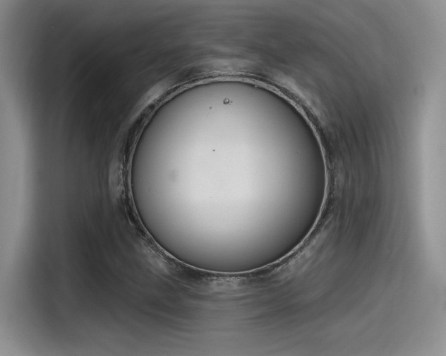 X0000115491211200911131229