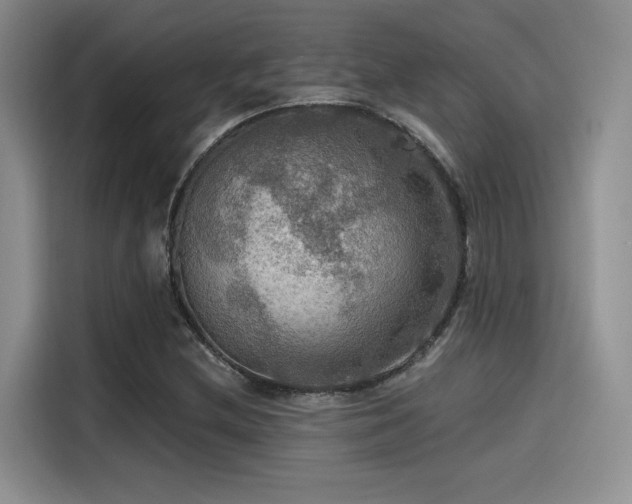 X0000115491212200911131229