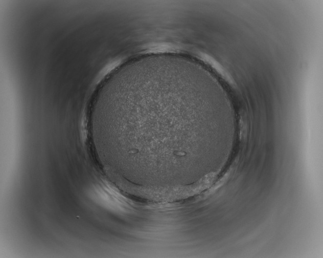 X0000115491213200911131229