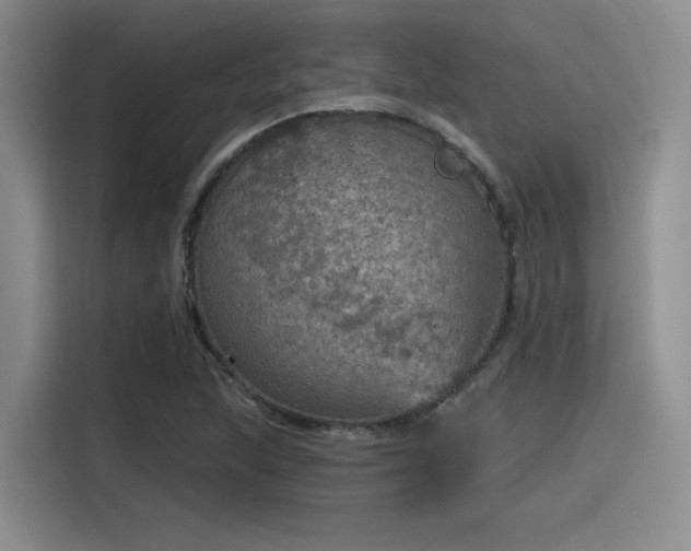X0000115491215200911131229