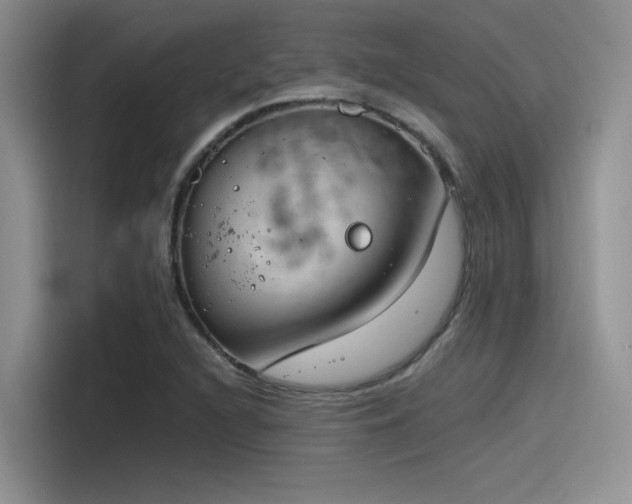 X0000115491216200911131229