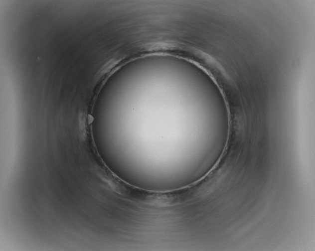 X0000115491217200911131229