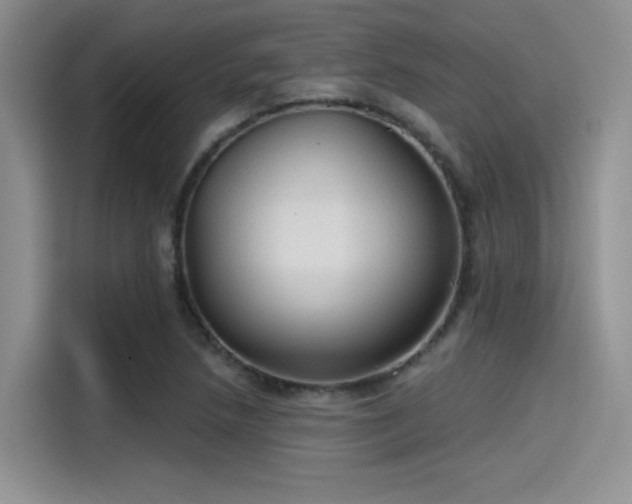 X0000115491218200911131229