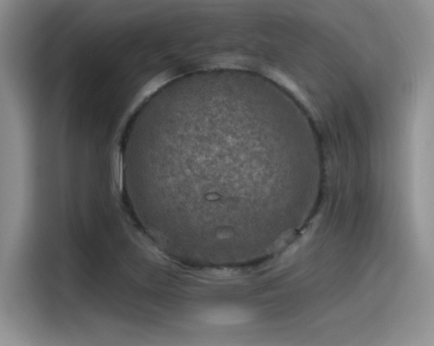 X0000115491219200911131229