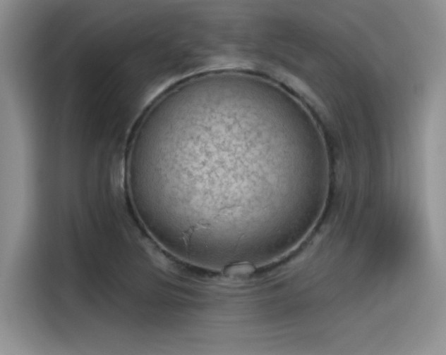 X0000115491220200911131229