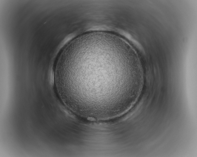 X0000115491221200911131229