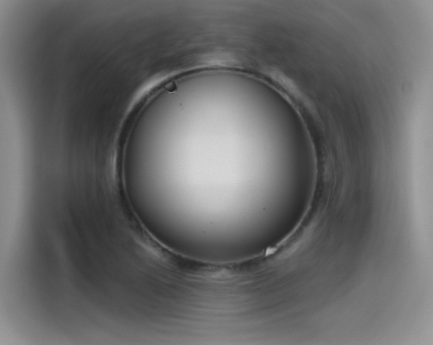 X0000115491222200911131229