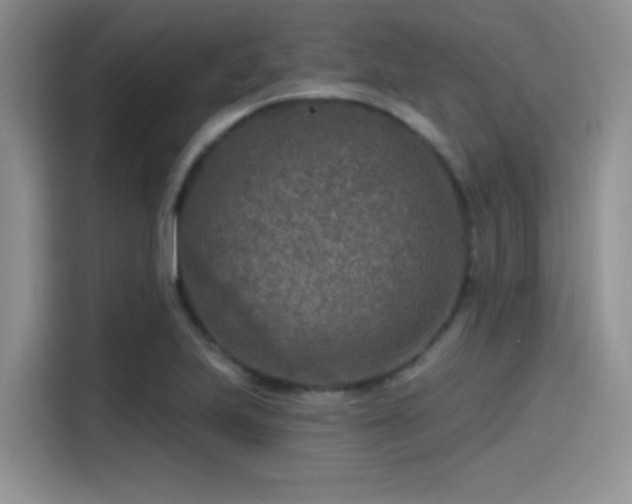 X0000115491223200911131229