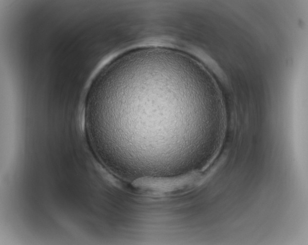 X0000115491224200911131229
