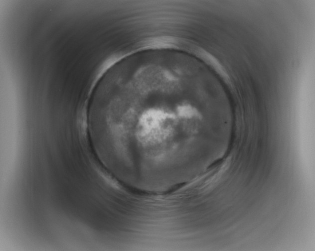 X0000115491226200911131229