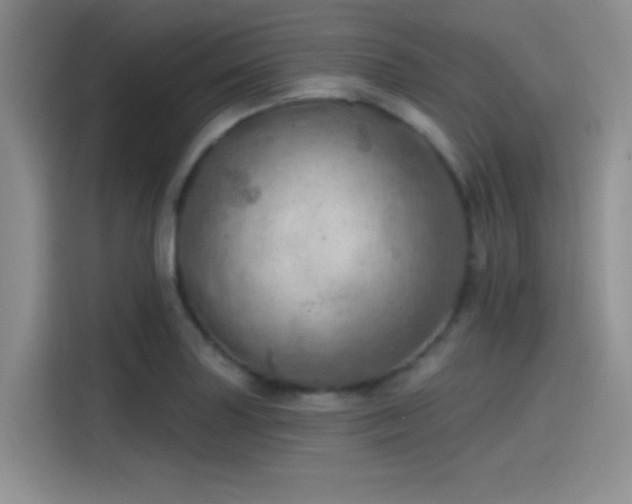 X0000115491227200911131229