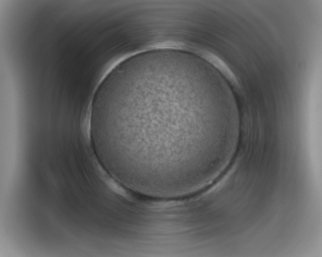 X0000115491228200911131229