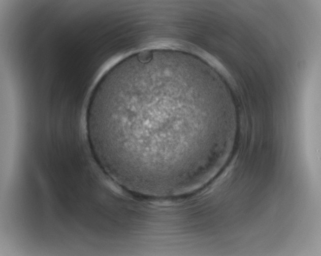 X0000115491230200911131229