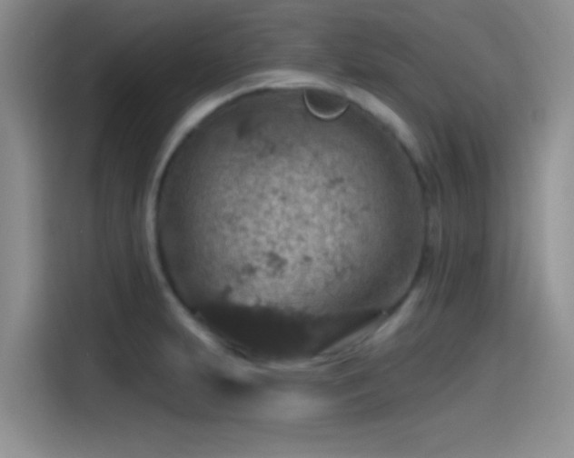 X0000115491231200911131229