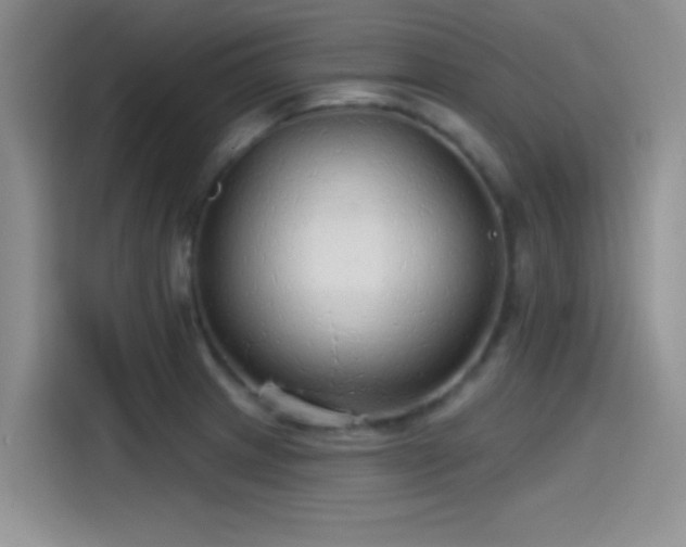 X0000115491233200911131229