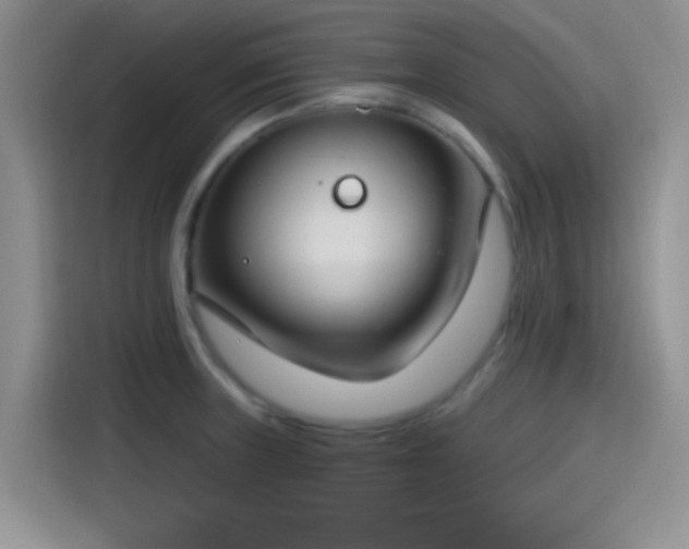 X0000115491235200911131229