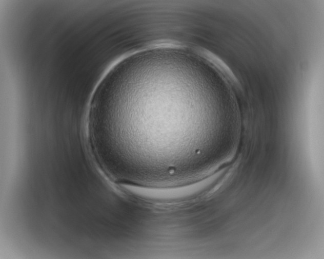 X0000115491236200911131229