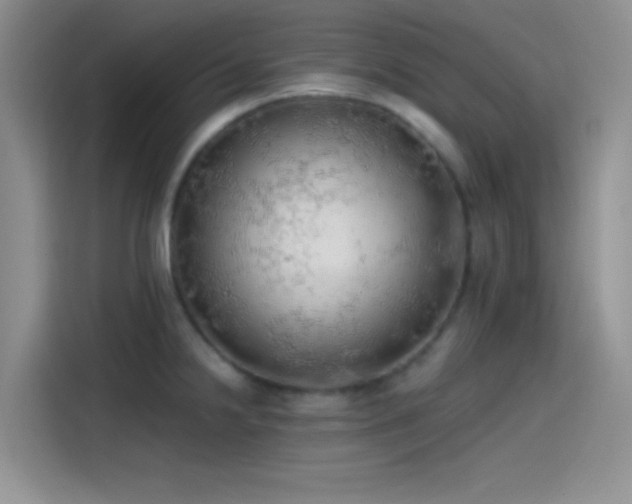 X0000115491238200911131229