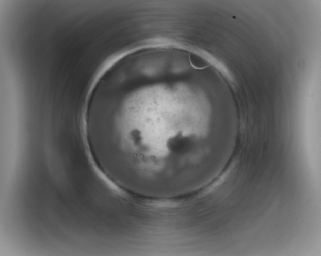 X0000115491239200911131229