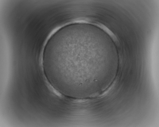 X0000115491240200911131229