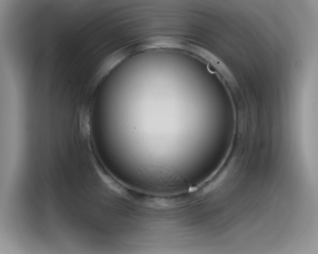 X0000115491241200911131229