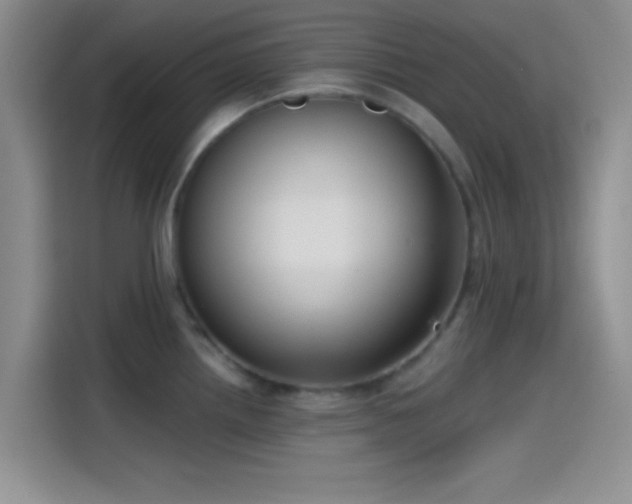 X0000115491242200911131229