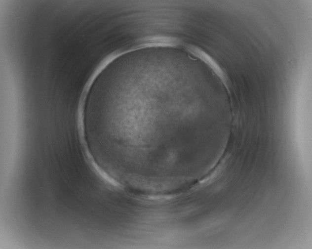 X0000115491243200911131229