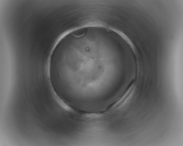 X0000115491246200911131229