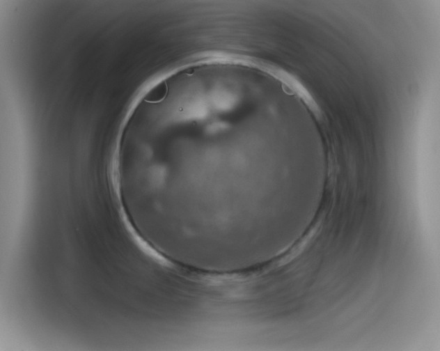 X0000115491247200911131229