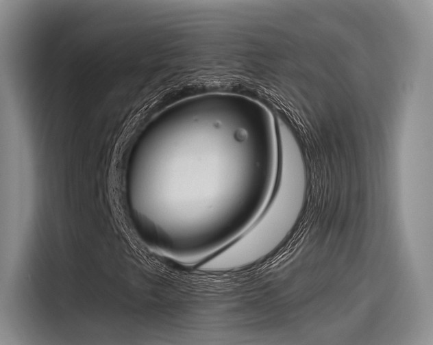 X0000115491249200911131228