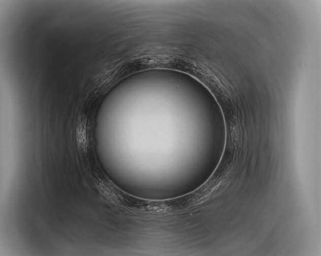 X0000115491250200911131228