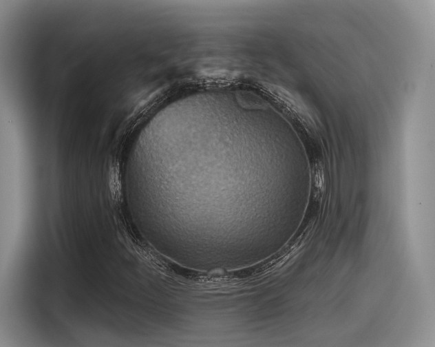 X0000115491252200911131228
