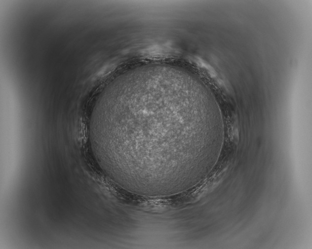 X0000115491253200911131228
