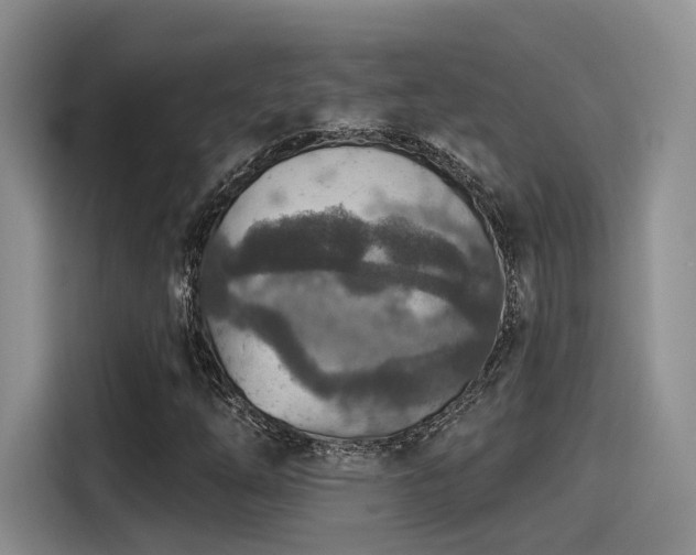X0000115491254200911131228