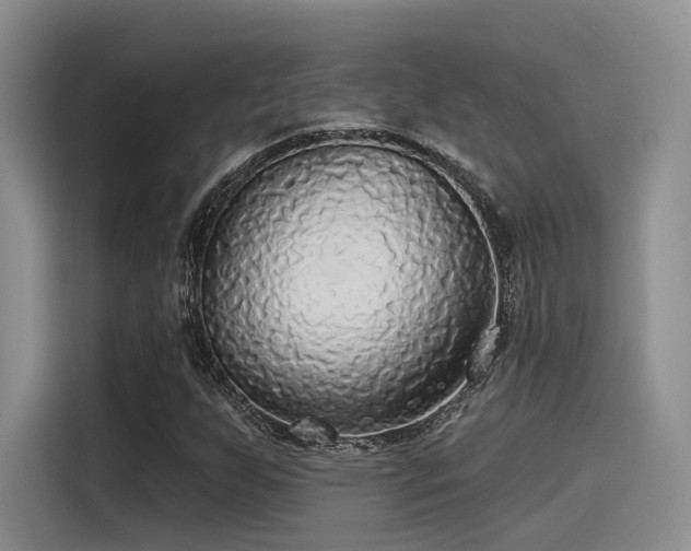 X0000115491255200911131228
