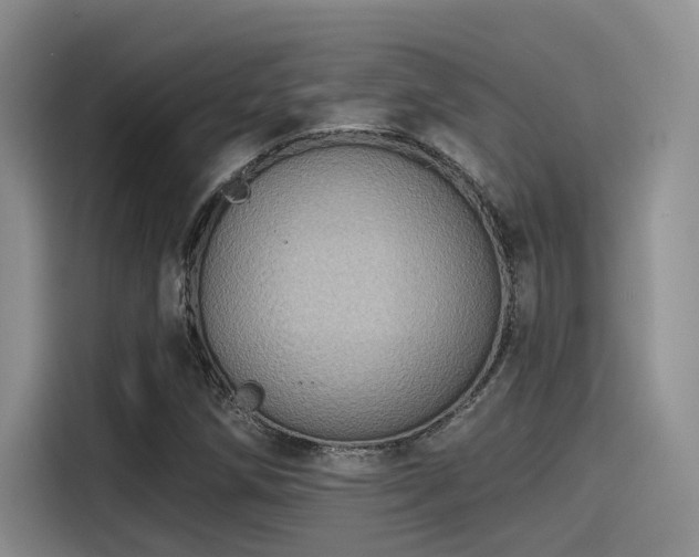 X0000115491258200911131228