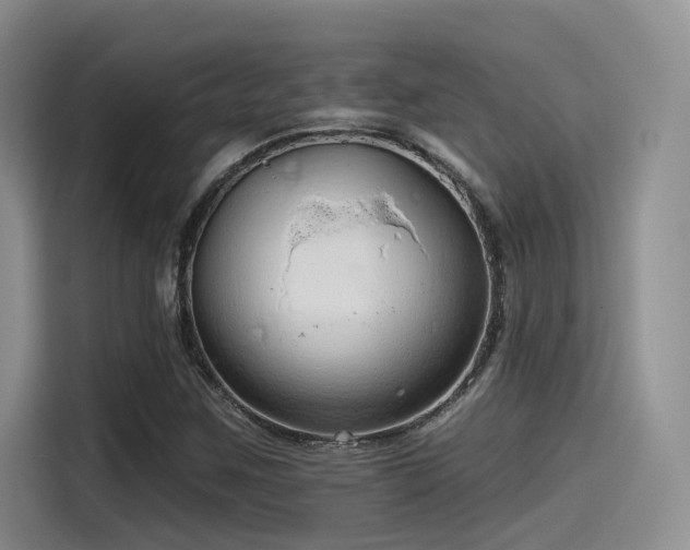 X0000115491259200911131228