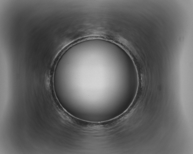 X0000115491260200911131228