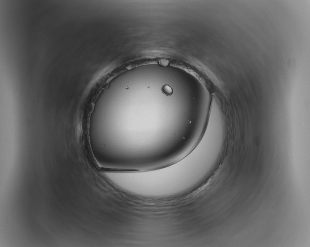 X0000115491261200911131228