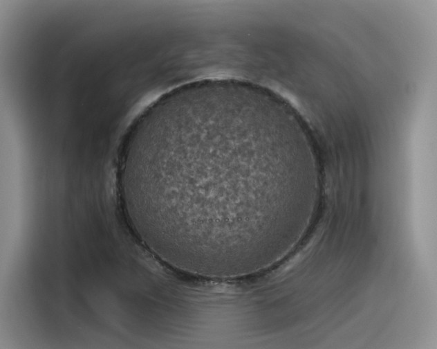 X0000115491263200911131228