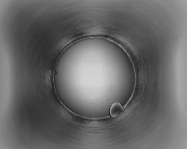 X0000115491265200911131228