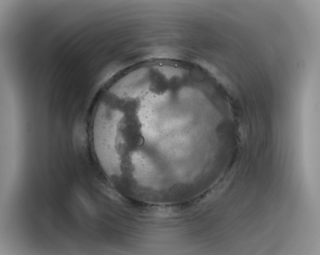 X0000115491266200911131228