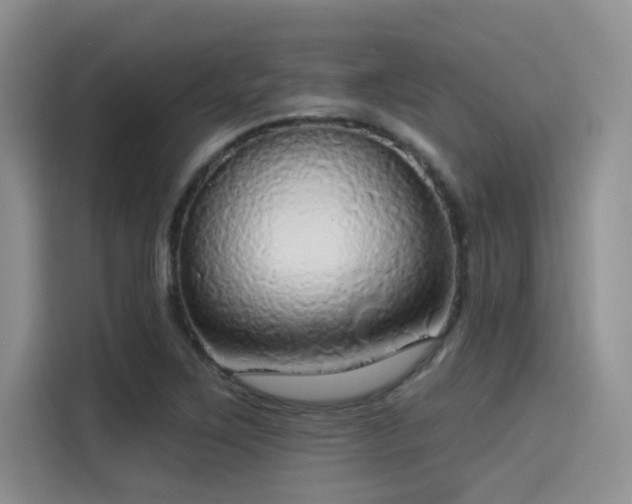 X0000115491267200911131228