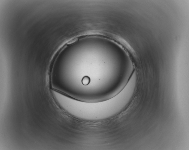 X0000115491268200911131228