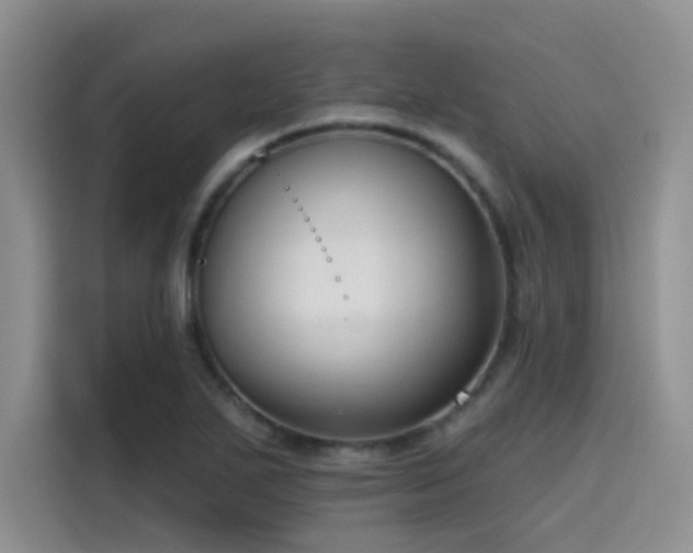 X0000115491271200911131228