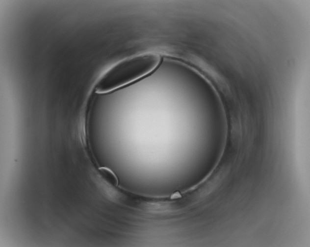 X0000115491272200911131228