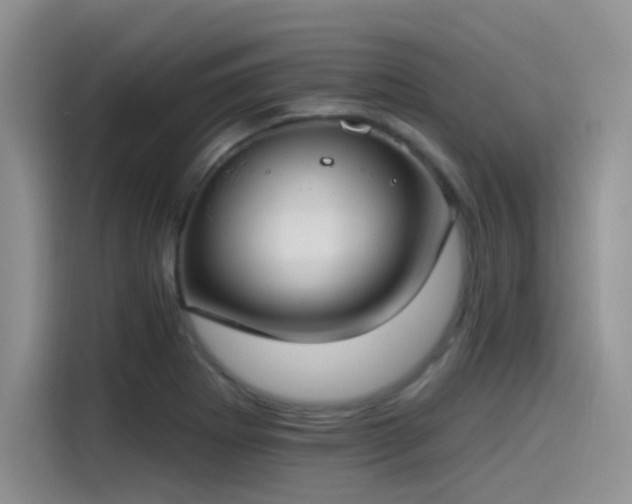X0000115491273200911131228