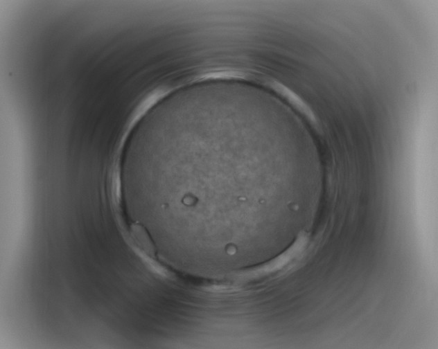 X0000115491274200911131228